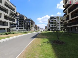 Prodej bytu 1+kk, Praha - Hloubětín, Domalípova, 38 m2