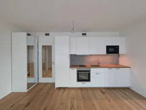Pronájem bytu 1+kk, Praha - Radlice, U Komína, 34 m2