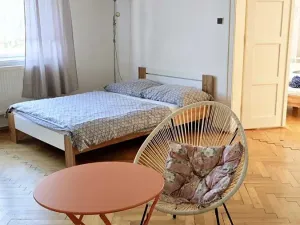 Pronájem pokoje, Olomouc, Krakovská, 100 m2