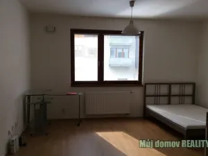 Pronájem bytu 1+kk, Praha - Michle, Hanusova, 38 m2