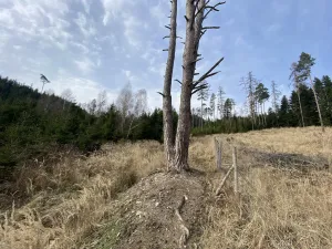Prodej louky, Městečko Trnávka - Lázy, 1410 m2