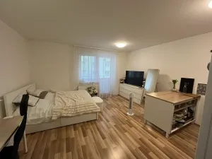 Pronájem bytu 1+kk, Brno, Chvalovka, 34 m2
