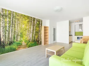 Pronájem bytu 2+kk, Praha - Modřany, Soukalova, 55 m2