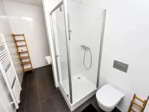 Pronájem pokoje, Praha - Vinohrady, Londýnská, 22 m2