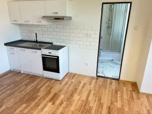 Pronájem bytu 1+kk, Karlovy Vary, T. G. Masaryka, 27 m2