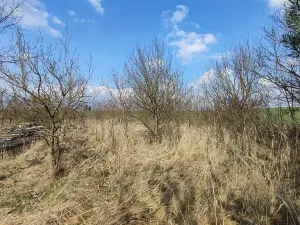 Prodej chalupy, Jickovice, 70 m2