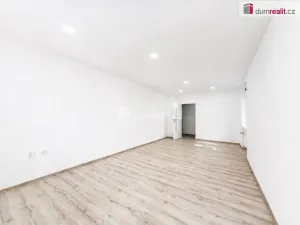Pronájem bytu 2+1, Teplice, Třebízského, 75 m2