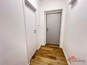 Prodej bytu 2+kk, Ostrava - Mariánské Hory, Hany Kvapilové, 46 m2