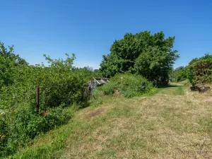 Prodej zahrady, Sokolov, 594 m2