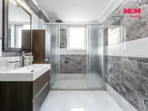 Prodej rodinného domu, Bor, Nádražní, 184 m2
