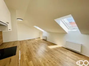 Pronájem bytu 1+kk, Praha - Smíchov, Svornosti, 38 m2