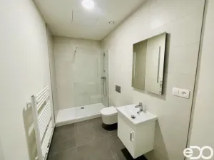 Pronájem bytu 1+kk, Praha - Smíchov, Svornosti, 38 m2