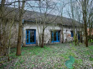 Prodej chalupy, Bečice, 502 m2