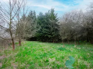 Prodej chalupy, Bečice, 502 m2