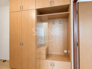 Pronájem bytu 2+1, Ostrava - Hrabůvka, 60 m2