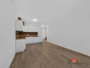 Pronájem bytu 2+kk, Plzeň - Východní Předměstí, 55 m2