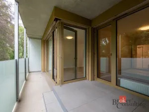 Pronájem bytu 2+kk, Plzeň - Východní Předměstí, 55 m2