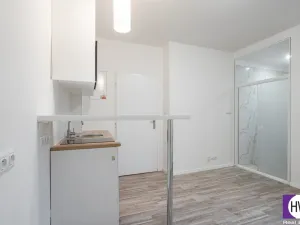 Prodej bytu 1+kk, Praha, Zbuzanská, 16 m2