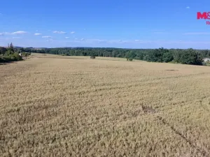 Prodej pozemku pro bydlení, Čimelice, 1090 m2