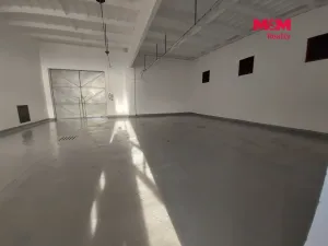 Pronájem skladu, Veselí nad Lužnicí - Veselí nad Lužnicí II, 150 m2