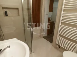 Prodej bytu 1+kk, Jeseník, Školní, 32 m2
