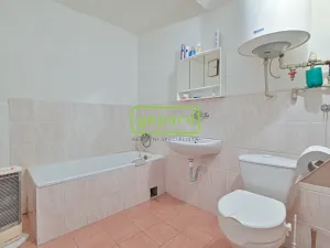 Prodej chalupy, Svatoslav, 41 m2