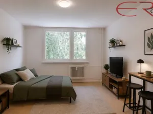 Pronájem bytu 1+kk, Varnsdorf, Čelakovická, 25 m2