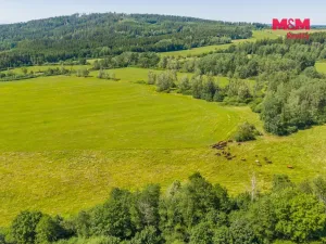 Prodej louky, Nové Mitrovice, 11703 m2