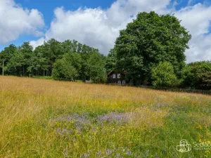 Prodej chalupy, Bublava, 92 m2
