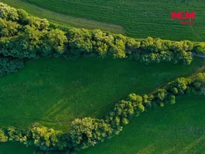 Prodej louky, Horní Bříza, 4590 m2