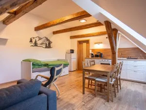 Pronájem bytu 1+kk, Staré Buky - Prostřední Staré Buky, 35 m2