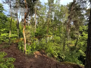 Prodej chaty, Slatiňany - Kunčí, 42 m2