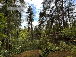 Prodej chaty, Slatiňany - Kunčí, 42 m2