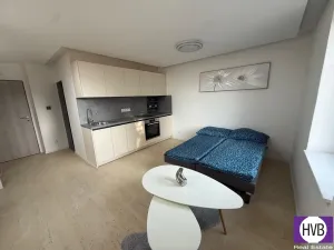 Prodej bytu 1+kk, Horní Planá, Palackého, 25 m2
