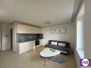 Prodej bytu 1+kk, Horní Planá, Palackého, 24 m2