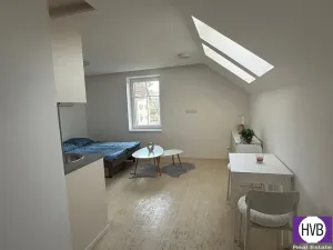 Prodej bytu 1+kk, Horní Planá, Palackého, 24 m2