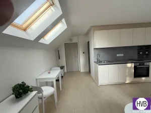 Prodej bytu 1+kk, Horní Planá, Palackého, 24 m2