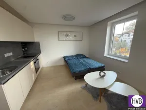 Prodej bytu 1+kk, Horní Planá, Palackého, 24 m2