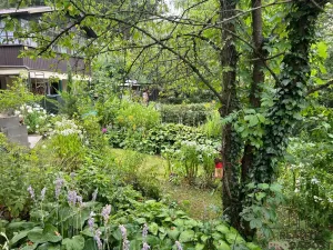 Pronájem chaty, Sýkořice, 70 m2