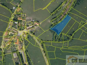 Prodej louky, Soběšice - Damíč, 22383 m2