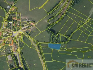 Prodej louky, Soběšice - Damíč, 22383 m2