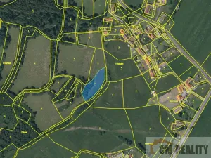 Prodej louky, Soběšice - Damíč, 22383 m2