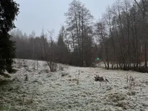 Prodej lesa, Vacov, 24200 m2