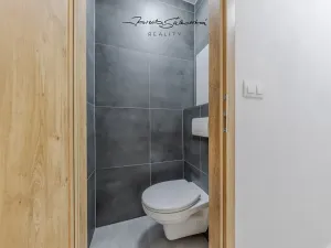 Pronájem pokoje, Olomouc, Pionýrská, 60 m2