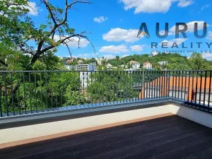 Pronájem bytu 4+kk, Praha - Nusle, Bělehradská, 123 m2