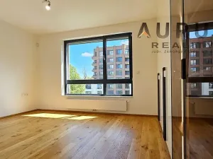 Pronájem bytu 4+kk, Praha - Nusle, Bělehradská, 123 m2
