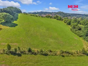 Prodej louky, Pecka, 17267 m2