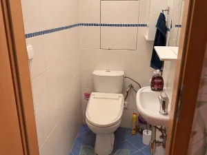 Prodej bytu 3+kk, Liberec - Liberec IV-Perštýn, Lípová, 69 m2