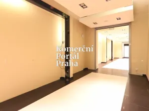 Pronájem obchodního prostoru, Praha - Nové Město, Václavské náměstí, 309 m2