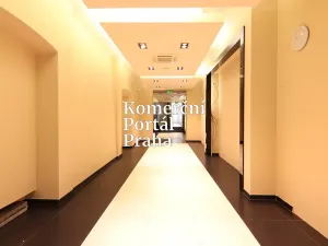 Pronájem obchodního prostoru, Praha - Nové Město, Václavské náměstí, 309 m2